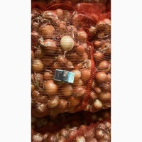 Продам товарну Цибулю