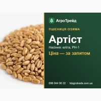 Пшениця 03имв Артіст: сертифік08вне нвсіння (DSV)