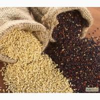 Киноа белая (Перу) оптом