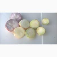 Продам лук штутгарт на перо