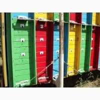 Продам пчелопавильён Берендей