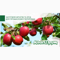 Куплю яблоки для пром переработки (на сок) от 20 т.Только от производителей