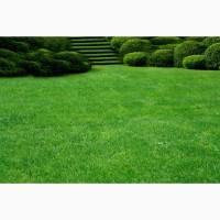 Предлагаем продажу с доставкой и разгрузкой и укладкой качественный Рулонный газон 