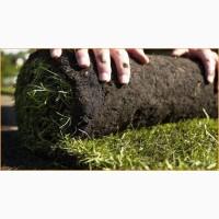 Предлагаем продажу с доставкой и разгрузкой и укладкой качественный Рулонный газон 