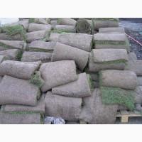 Предлагаем продажу с доставкой и разгрузкой и укладкой качественный Рулонный газон 