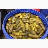 Продам солёные огурцы