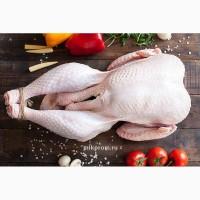 Продам индейку (тушка)