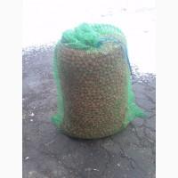 Продам фундук сорт Тонда Гиффони