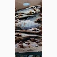 Продам окунь вяленный 110грн/кг. Опт. Продам окунь вяленный 120грн/кг. Опт