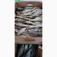 Продам окунь вяленный 110грн/кг. Опт. Продам окунь вяленный 120грн/кг. Опт