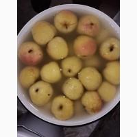 Продам мочёные яблоки