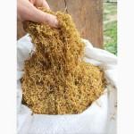 Тютюн по доступним цінам