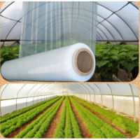 Теплична плівка для теплиць високої якості Vatan Plastik