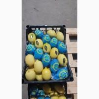 Лимон enterdonat
