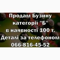 Реалізую Бузину категорії Б. Сировина власної заготівлі/заморозки