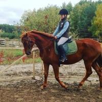 Продам кобилу УВП