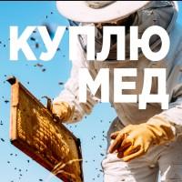 КУПЛЮ МЕД в Черкаській області