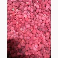 Закуповую малину на заморозку