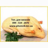 М#039;ясо тушка м#039;язової качки шипуна індо-качки