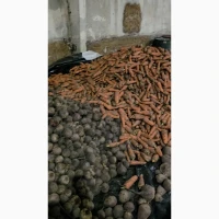 Продам буряк