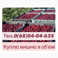 Куплю вишню