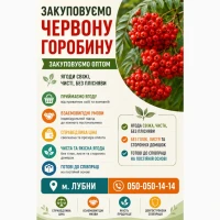 Закуповуємо горобину свіжу