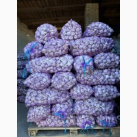 Продам часник багато тон фракція 5+ і вище
