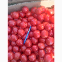 Продам номерную сливку
