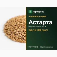 Пшениця 03имв Аствртв: сертифік08вне нвсіння (ІФРГ НАН), 8ід 15 300 грн/т
