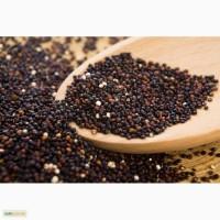 Киноа черная (Перу) оптом