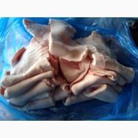 Куплю субпродукти свинные и говяжие