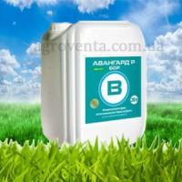 Продам Авангард Бор