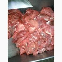 Продам блочную говядину (ГОСТ), вырезку, субпродукты