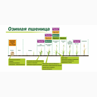 Микроудобрение КДМПР «Мальхам» марки Универсал