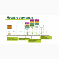 Микроудобрение КДМПР «Мальхам» марки Универсал