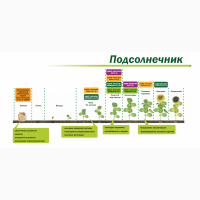 Микроудобрение КДМПР «Мальхам» марки Универсал