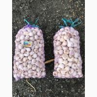Продам чеснок 20-30, 30-38 мм, 40-50 мм, 50+мм