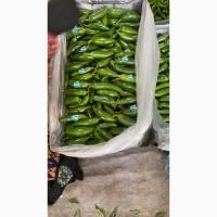 Продам перец