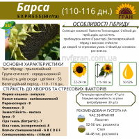На посівну 2021 року насіння соняшника та кукурудзи за доступними цінами