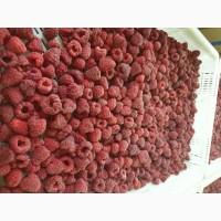 Куплю малину свежую