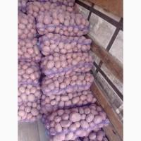 Продам картоплю хорошої якості