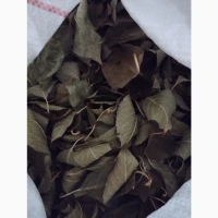 Продам лист вишні