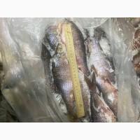 Продам с/м Тарань