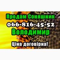 Реалізуєм Соняшник дрібним та великим оптом! Ціна договірна