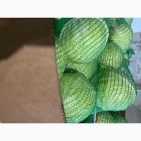 Продам Капусту гурт від 1 тонни