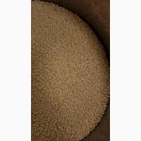 Кус-кус та ПТІТІМ (ПТИТИМ) Ізраїльський