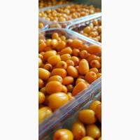 Обліпиха ягода