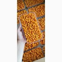 Обліпиха ягода