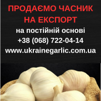 Продам часник на посадку