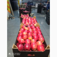 Продамо високоякісне яблуко з холодильника